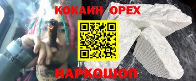 стаф Можга
