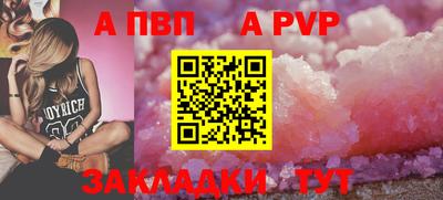 стаф Можга
