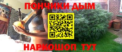 стаф Можга