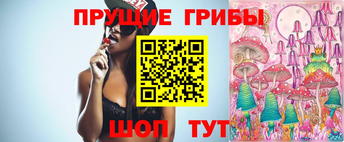 Псилоцибиновые грибы Psilocybe Славянск-на-Кубани