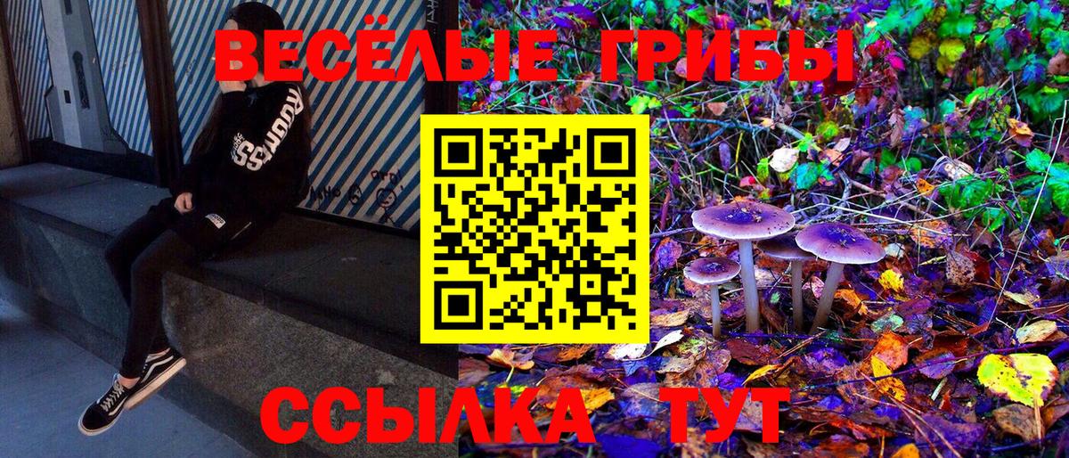 закладки  Вход с VPN  Славянск-на-Кубани  Галлюциногенные грибы Psilocybe 